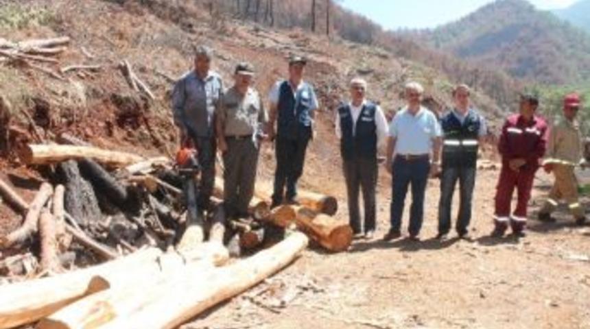 Adrasan'da Gen&ccedil;leştirme &Ccedil;alışmaları Başladı