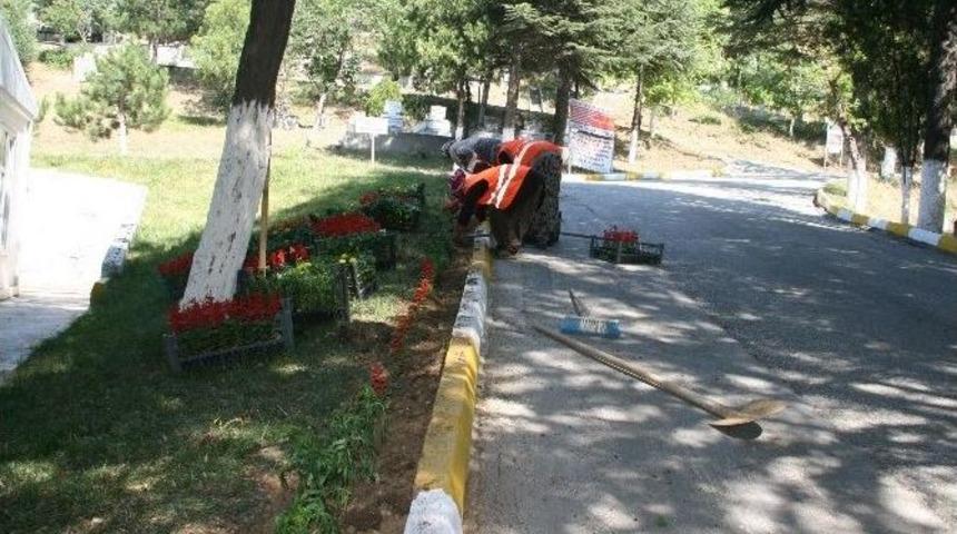 Boz&uuml;y&uuml;k Mezarlığı &Ccedil;i&ccedil;ek A&ccedil;tı