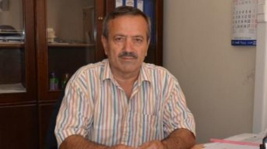 Bal Ligi