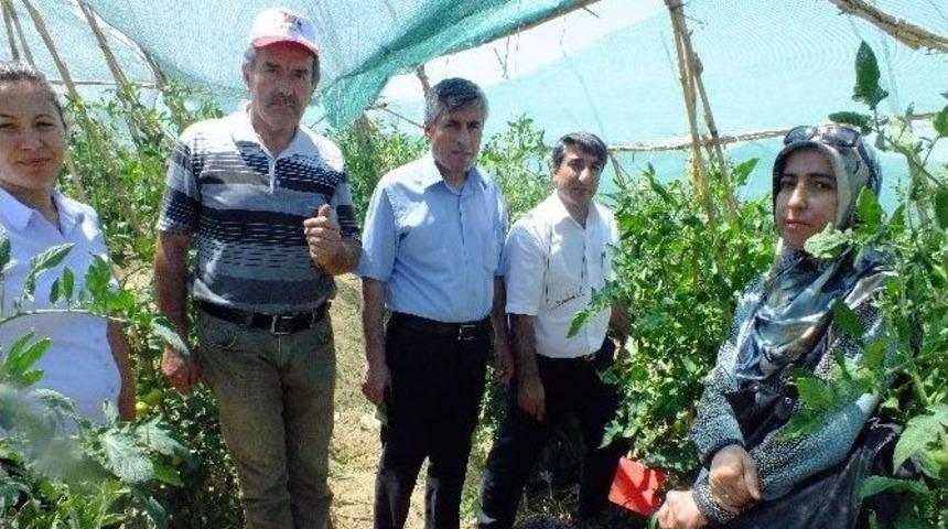 Selvi Sebze Bah&ccedil;esinde İnceleme Yaptı