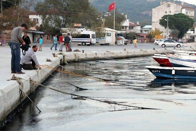 Bursa'da Çevreyi Kirleten İşletmelere Kapatma Cezası Geliyor