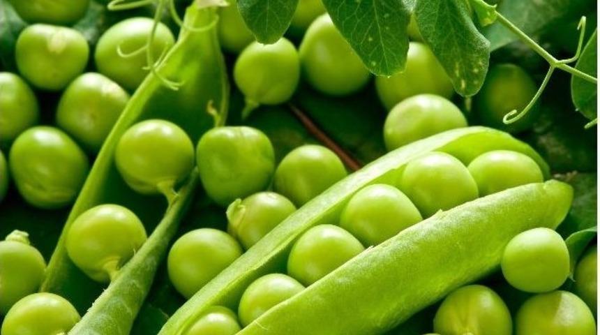 Bezelye Yaşlanmayla Savaşıyor