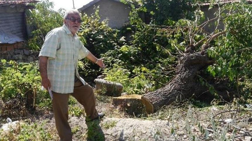 'yatır Mı? Yol Mu?' Tartışması Son Bulacak