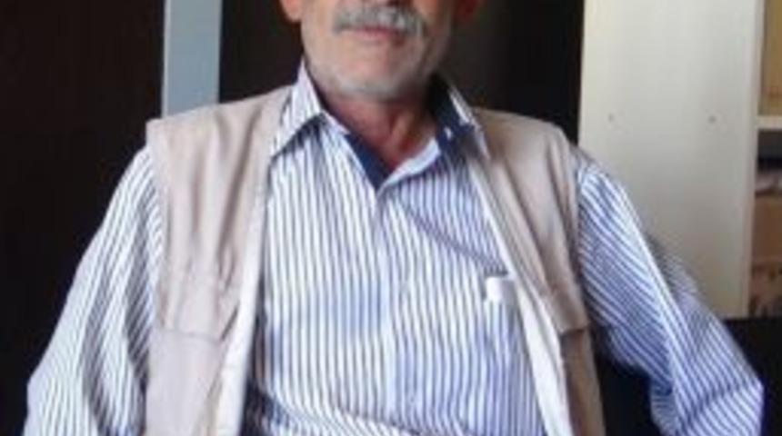 Kulp&rsquo;ta 10 B&uuml;y&uuml;kbaş Hayvan &Ccedil;alındı