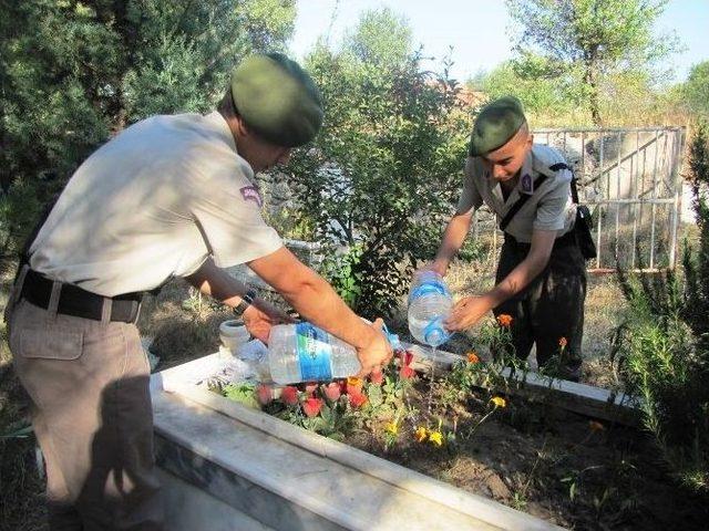 Şehit Mezarlarındaki Bayraklar Yenilendi