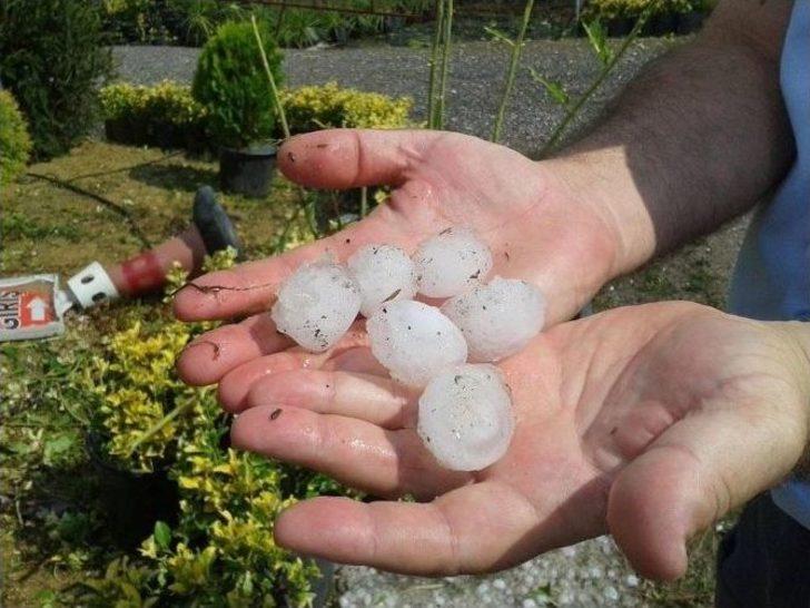Kaynarca'da Dolu Yağdı G2