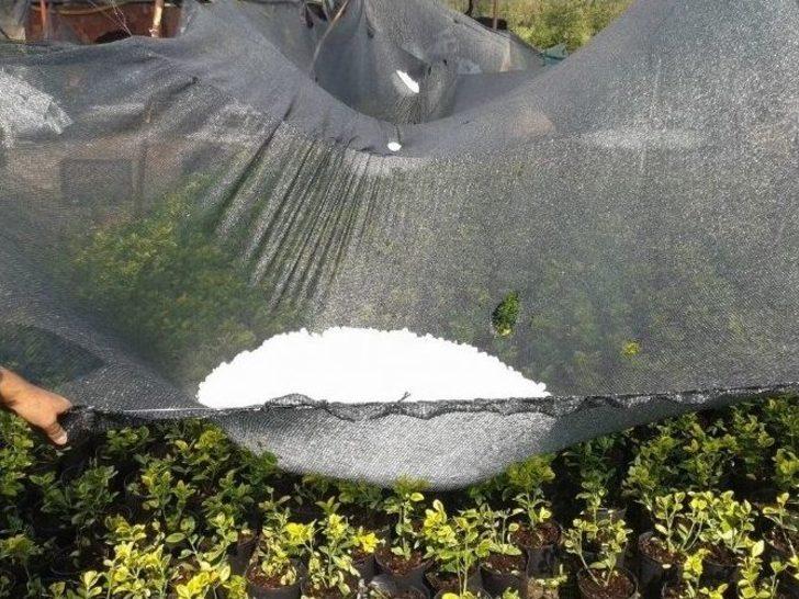 Kaynarca'da Dolu Yağdı G3