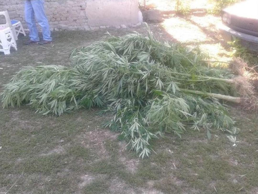 Jandarmadan Esrar Baskını