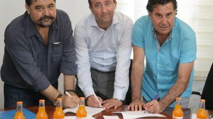 Bodrum Mandalinası Hipermarketlerde