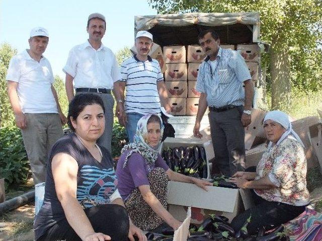 Niksar daki &Ouml;rt&uuml; Altı Yetiştiricilerine Ziyaret 2