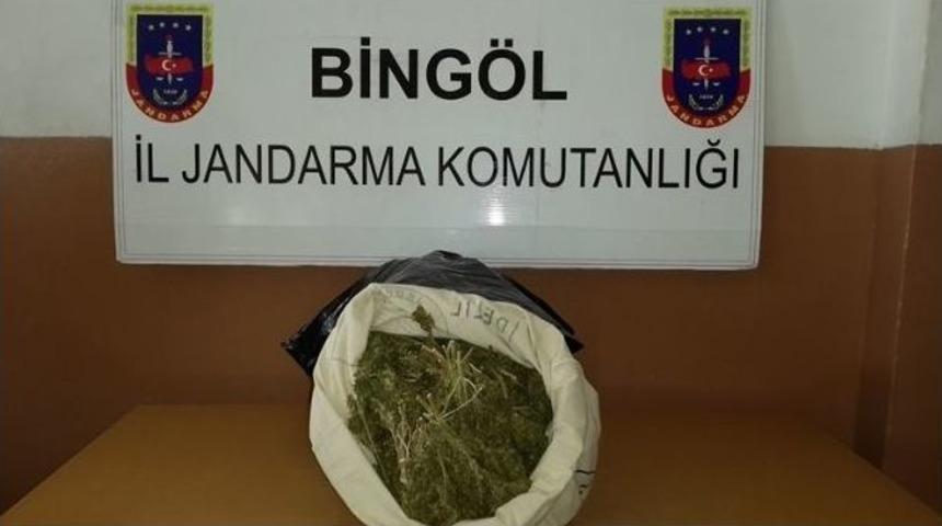 Bing&ouml;l&rsquo;de 36 Kilogram Esrar Ele Ge&ccedil;irildi