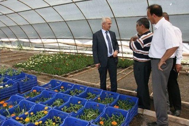 Başkan Başsoy &Ccedil;alışmaları Yerinde İnceledi 1