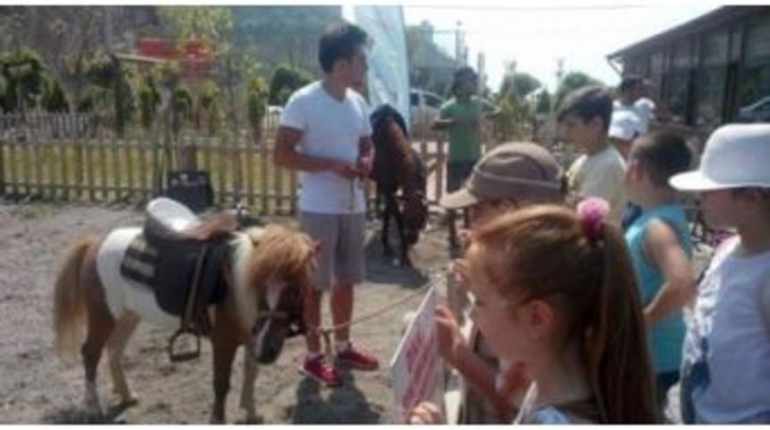 Tegv Midilli At Çiftliğini Ziyaret Etti