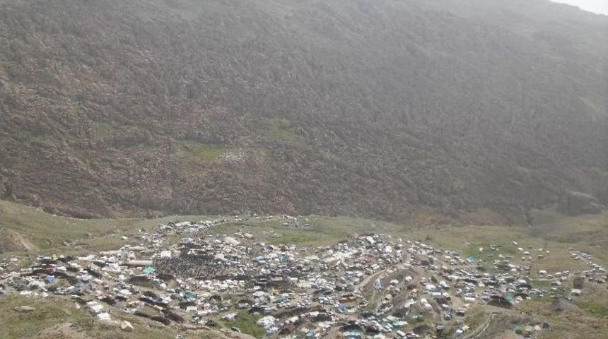 Beyt&uuml;şşebap'ta Kuzu Kırkma Ve Yayla Şenlikleri Festivalinin Tarihi Belli Oldu
