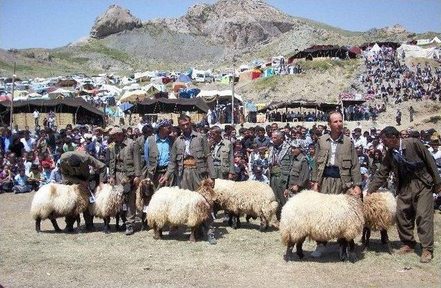 Beytüşşebap'ta Kuzu Kırkma Ve Yayla Şenlikleri Festivalinin Tarihi Belli Oldu