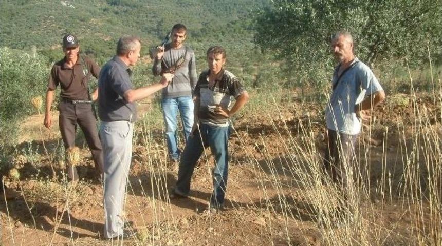 Burhaniye&rsquo;de Zararcı &Ccedil;obanlara Operasyon