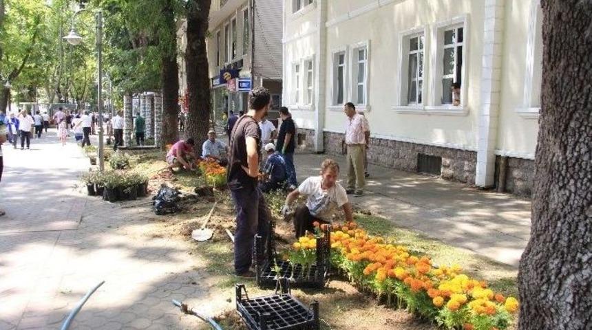 Hendek Caddeleri &Ccedil;i&ccedil;ekleniyor