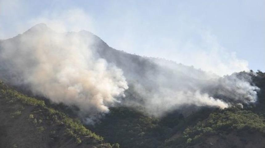Munzur Vadisi Milli Parkı&rsquo;nda Orman Yangını