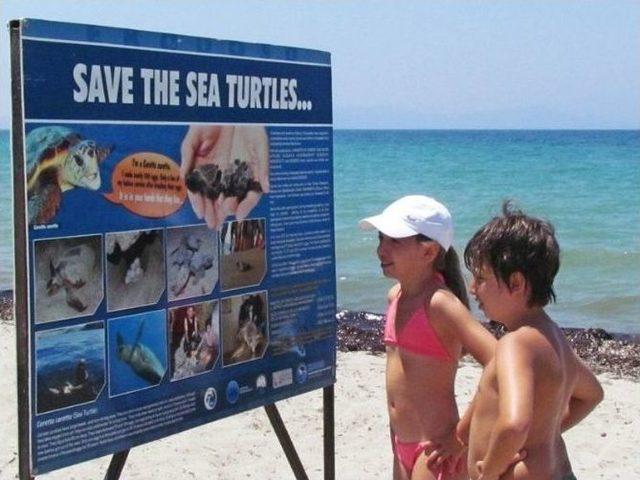 Caretta Carettaların Kuşadası Aşkı