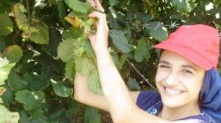 D&uuml;zce&rsquo;de Fındık Hasadı Tarihleri Belirlendi