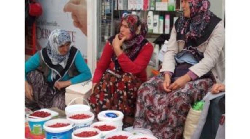 D&uuml;zce&rsquo;de Dağ &Ccedil;ileği Ve B&ouml;ğ&uuml;rtlene İlgi B&uuml;y&uuml;k