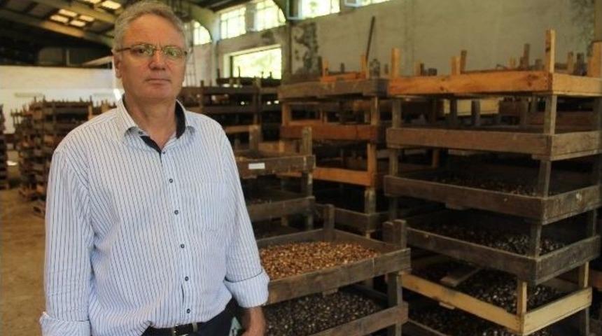 &ldquo;d&uuml;nyada Tıbbi Olarak Kullanılan Bir &Ccedil;ok Bitkinin Ana Vatanı T&uuml;rkiye&rdquo;