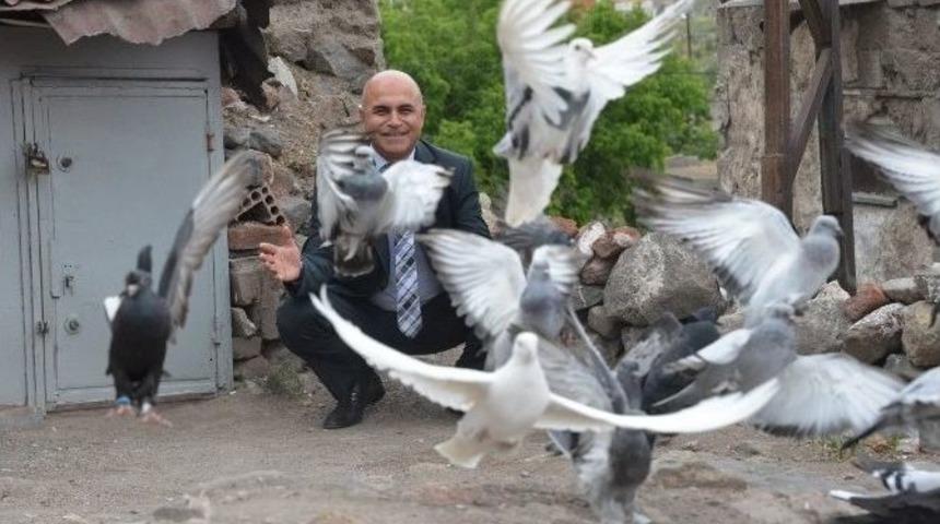 Gazze'de Barış, Filistin'e &Ouml;zg&uuml;rl&uuml;k İ&ccedil;in G&uuml;vercin U&ccedil;urdu