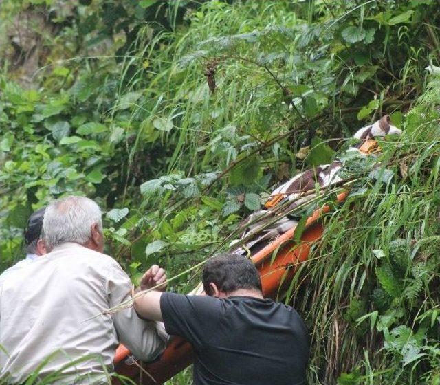 Rize de Trafik Kazası: 3 Ölü, 3 Yaralı 1