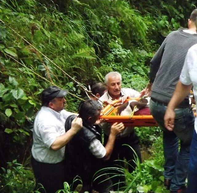 Rize de Trafik Kazası: 3 Ölü, 3 Yaralı 2