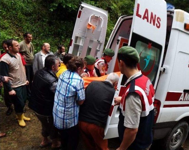 Rize de Trafik Kazası: 3 Ölü, 3 Yaralı 3