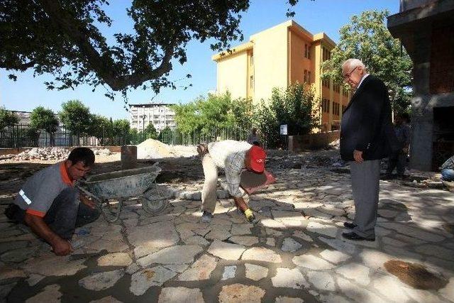 Karabağlar’da 600 Yıllık Çınar Koruma Altında