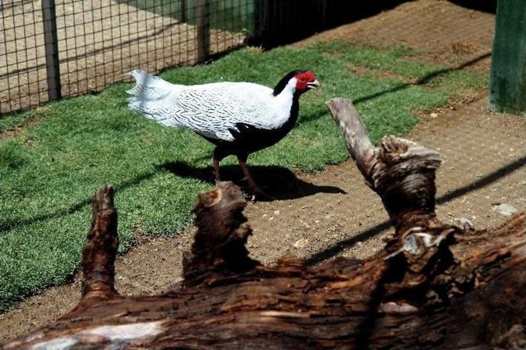 Tay Park&rsquo;a 350 Bin Ziyaret&ccedil;i