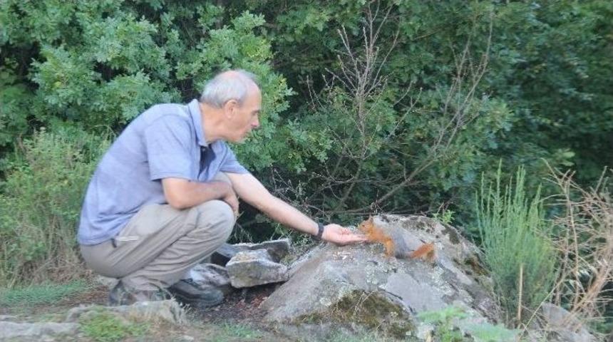 Uludağ Ormanları'nda Sincaplarla Dağcının M&uuml;thiş Dostluğu...(&ouml;zel Haber)