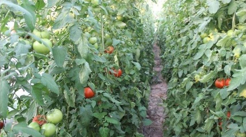 Eğitimli &Ccedil;ift&ccedil;i Herkese &Ouml;rnek Oluyor