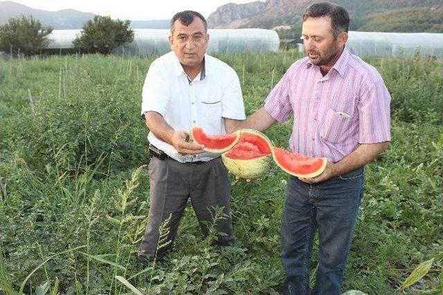 Eğitimli Çiftçi Herkese Örnek Oluyor