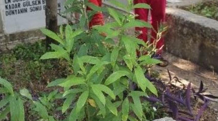 Fakir &Ccedil;ocukların Bayram Har&ccedil;lığı Mezar İşlerinden