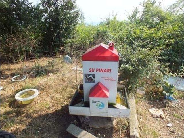 Sahipsiz Sokak K&ouml;peklerine Yem Bırakıldı 1