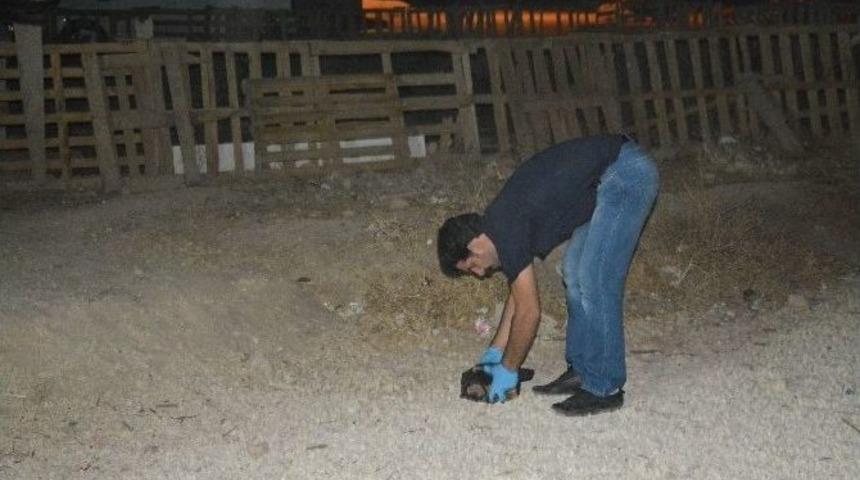 Suriye Sınırında &Ccedil;ocuklar 5 Mayın Buldu