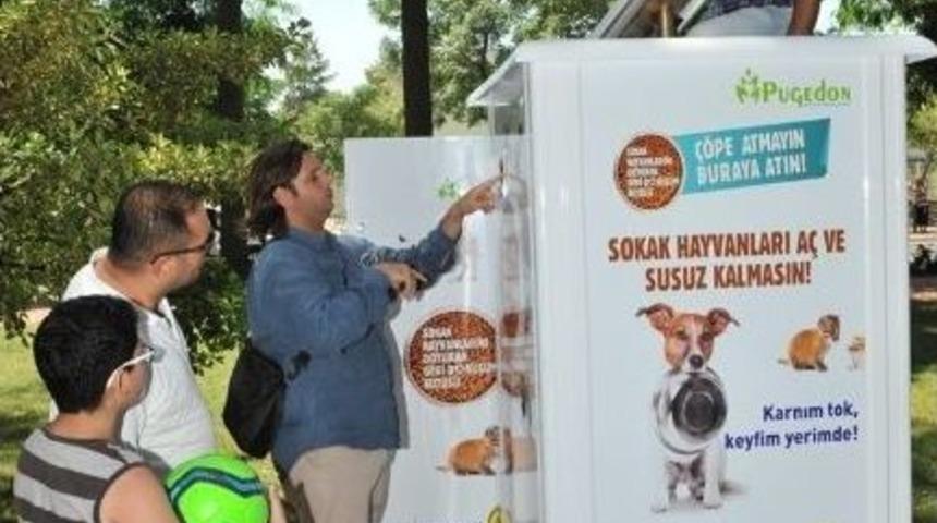 Buca'da Sevimli Dostlar Geri D&ouml;n&uuml;ş&uuml;mle Doyacak