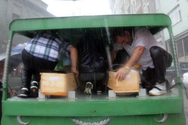 Bayramı Göremediler 2