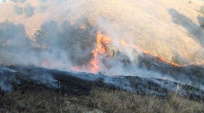 Elazığ'da Korkutan Orman Yangını