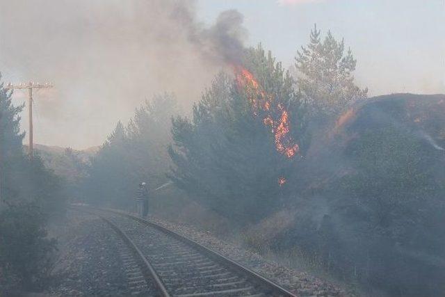 Elazığ'da Korkutan Orman Yangını