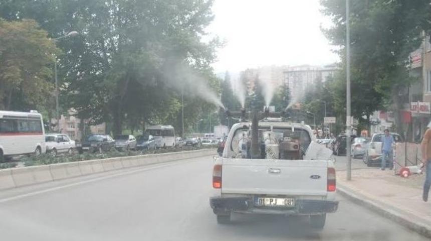 Bilecik Bayram &Ouml;ncesi G&uuml;l Kokusuyla Donatıldı