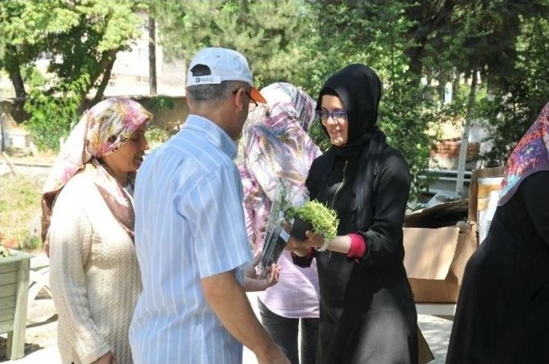 Belediyeden Kabir Ziyaretine Gelenlere &Ccedil;i&ccedil;ek Ve &Ccedil;am Fidanı