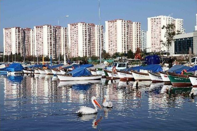 Karşıyaka’da Hayaller Gerçek Oluyor