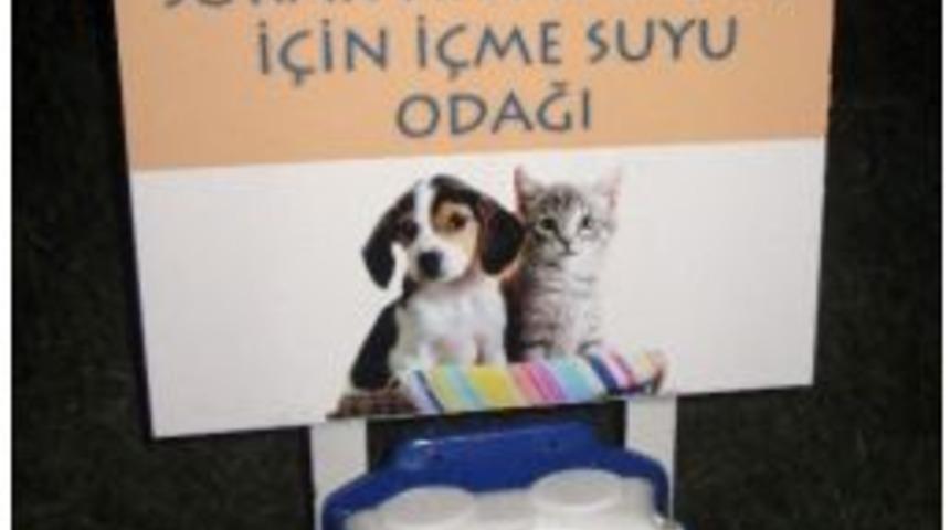 Karacebey&rsquo;de Sokak Hayvanları Susuz Kalmayacak