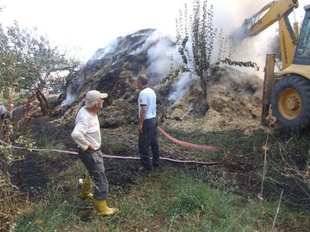 Tekirdağ'da 2 Bin Saman Yandı