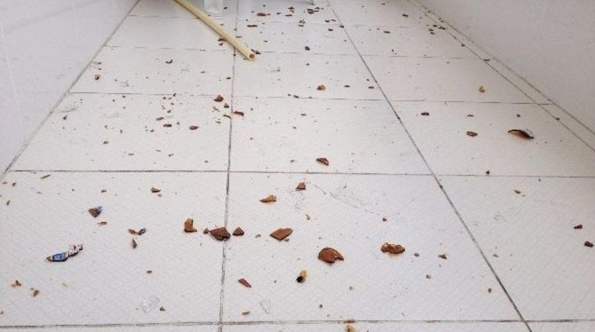 (&ouml;zel Haber) Boşandığı Eşinin Evini Molotof Kokteyli Atarak Yakmak İstedi