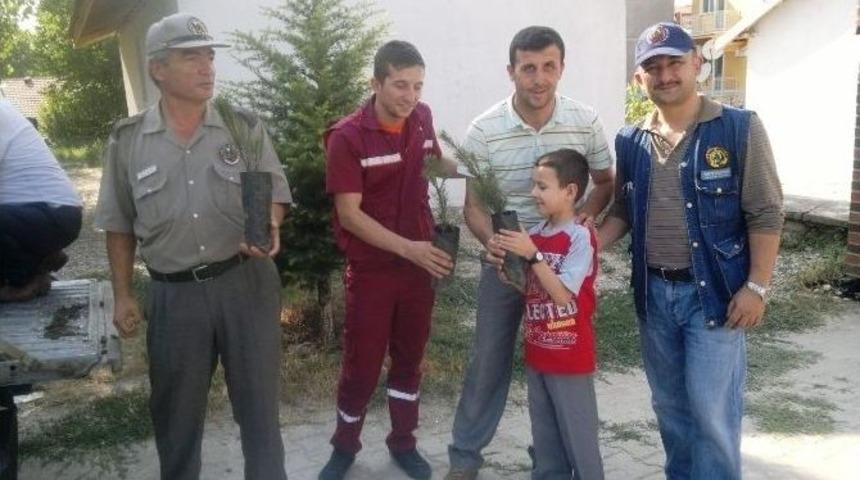 Mezarlıkta Fidan Dağıtıldı