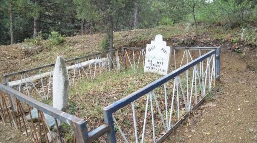 T&uuml;rbedeki &Ccedil;ınar Ağacının Sırrı